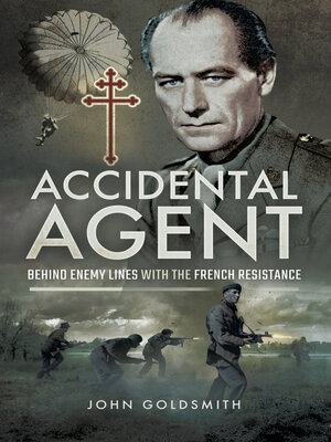cover image of Accidental Agent